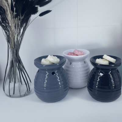 Ceramic Wax Melter