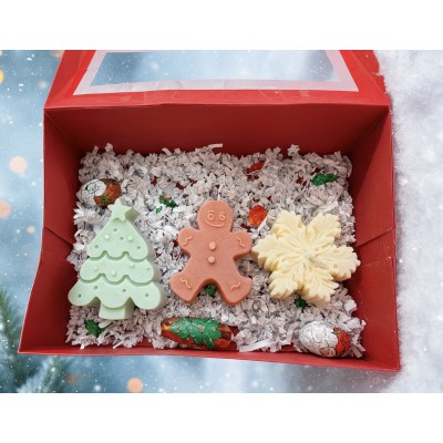 Christmas gift box Αρωματικά χειροποίητα φυτικά κεριά σόγιας