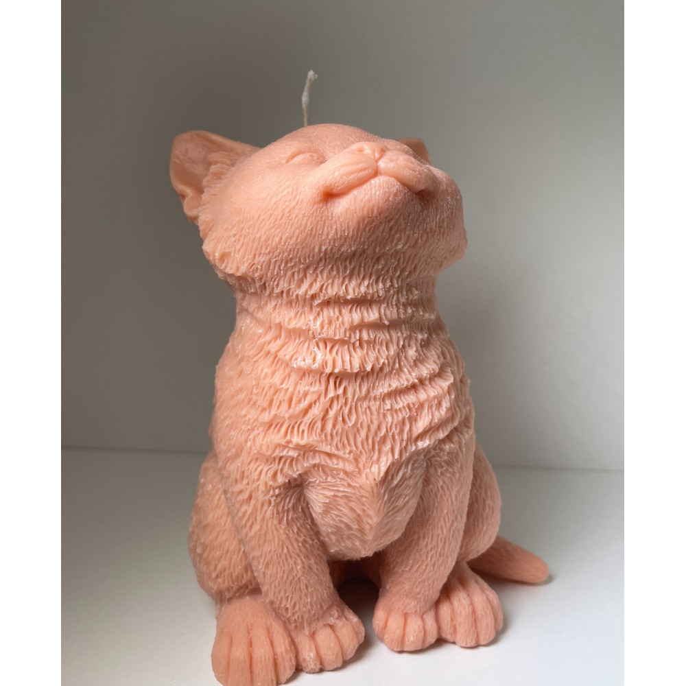 Cute cat Handmade Scented Natural Soy Wax Candle | Candlespap.gr