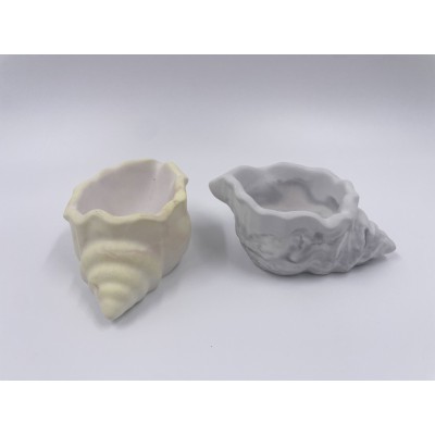 Porcelain Shell 